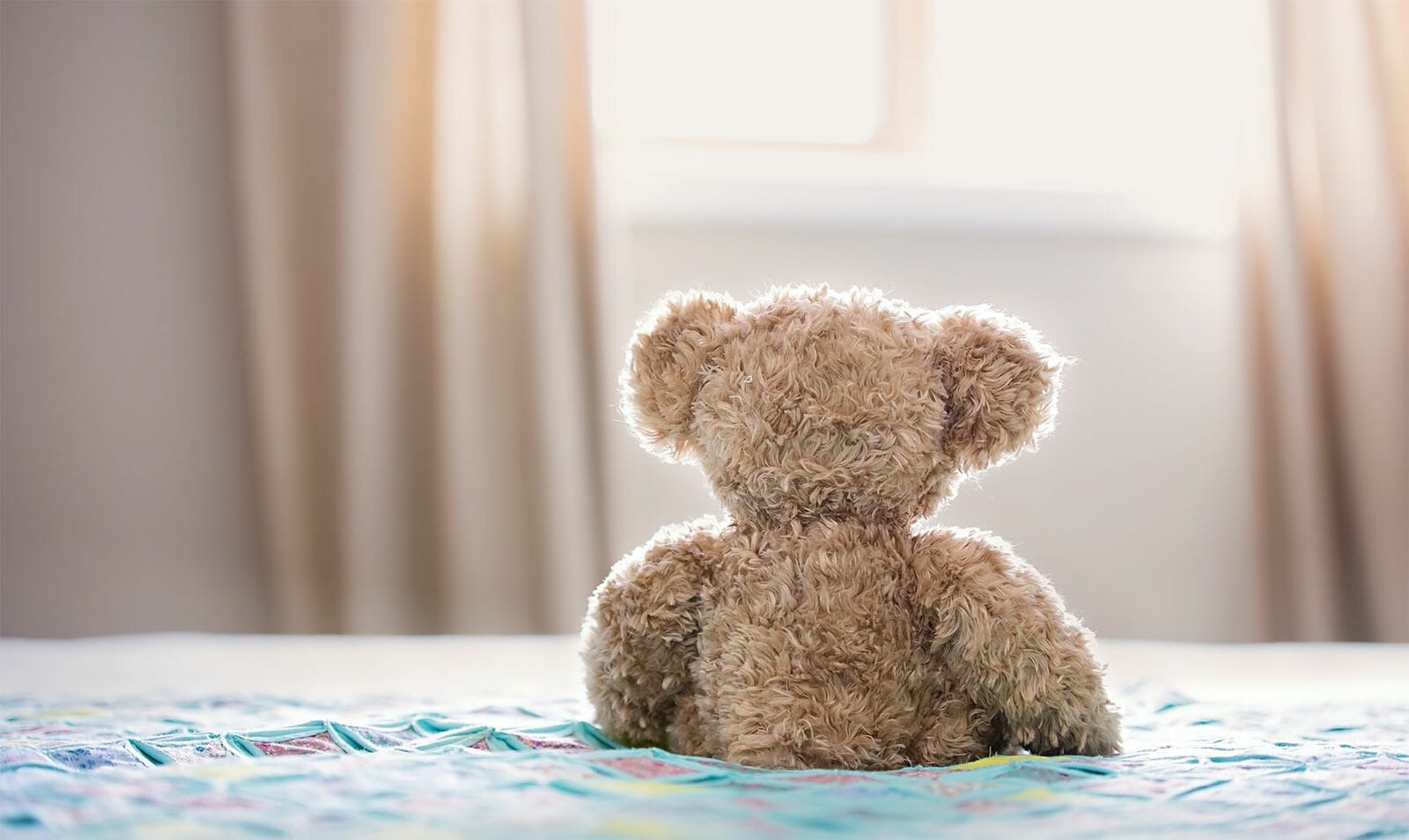 Refuge The Elm Foundation